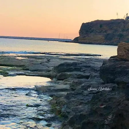 Cottone 巴莱斯特拉泰