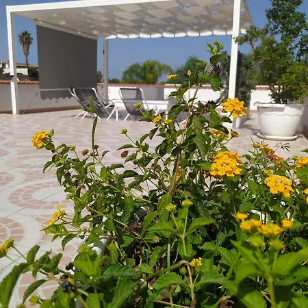 Cottone * 巴莱斯特拉泰